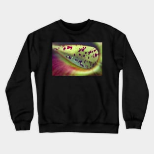 Colorful carnivorous plant Crewneck Sweatshirt